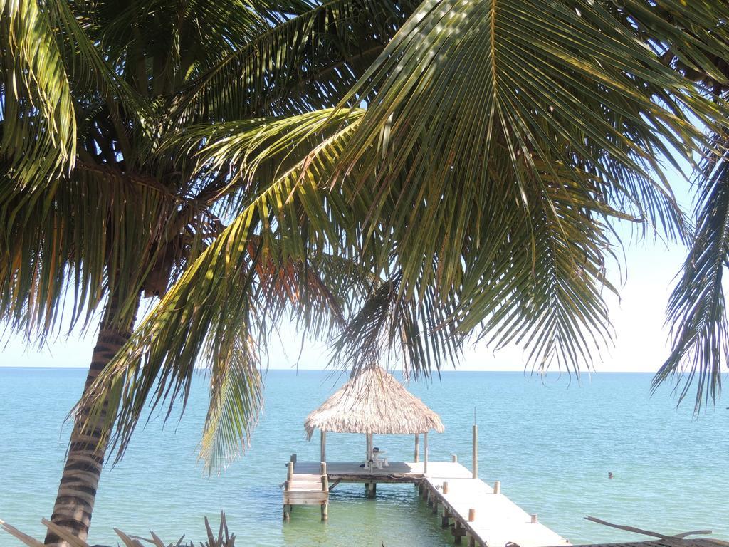 Parrot Cove Lodge Hopkins Luaran gambar
