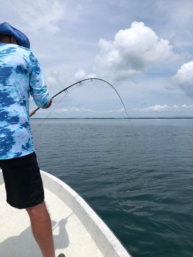 Parrot Cove Lodge Hopkins Luaran gambar