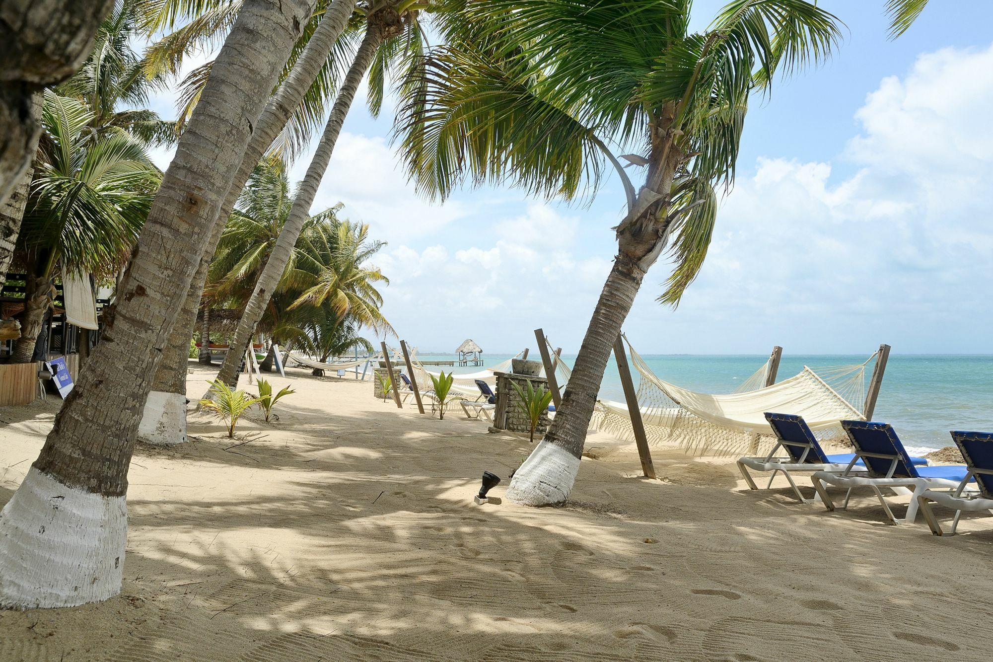 Parrot Cove Lodge Hopkins Luaran gambar